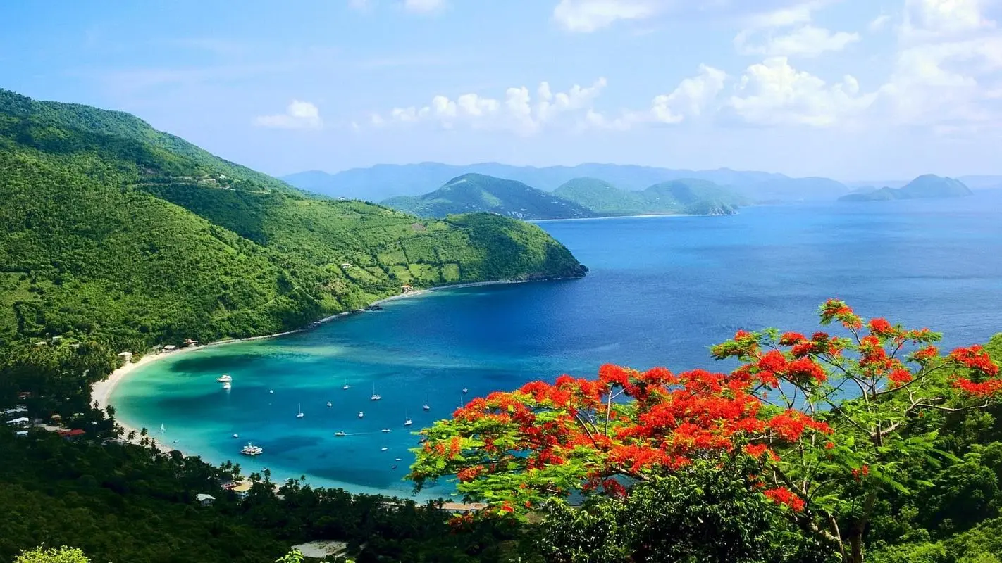 高标准智能系统